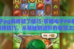 电子pg麻将胡了技巧-掌握电子PG麻将胡牌技巧，从基础到进阶的智慧之旅