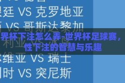 世界杯下注怎么弄-世界杯足球赛，理性下注的智慧与乐趣
