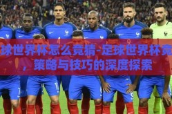 足球世界杯怎么竞猜-足球世界杯竞猜，策略与技巧的深度探索