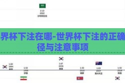 世界杯下注在哪-世界杯下注的正确途径与注意事项