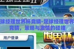 足球经理世界杯竞猜-足球经理世界杯竞猜，策略与激情的碰撞