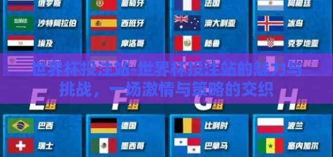 世界杯投注站-世界杯投注站的魅力与挑战，一场激情与策略的交织