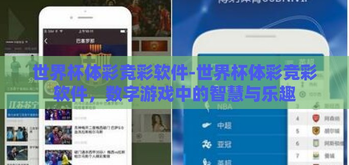 世界杯体彩竞彩软件-世界杯体彩竞彩软件，数字游戏中的智慧与乐趣