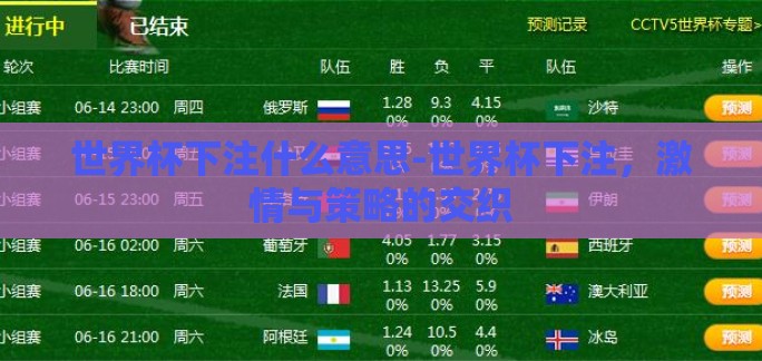 世界杯下注什么意思-世界杯下注，激情与策略的交织