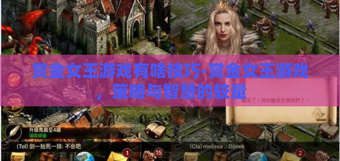 赏金女王游戏有啥技巧-赏金女王游戏,策略与智慧的较量 赏金女王游戏有啥技巧-赏金女王游戏,策略与智慧的较量