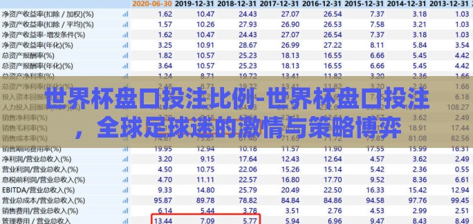 世界杯盘口投注比例-世界杯盘口投注，全球足球迷的激情与策略博弈
