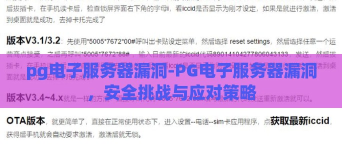 pg电子服务器漏洞-PG电子服务器漏洞，安全挑战与应对策略