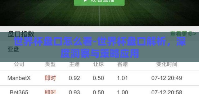 世界杯盘口怎么看-世界杯盘口解析，深度洞察与策略应用