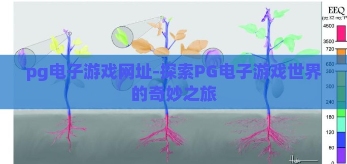 pg电子游戏网址-探索PG电子游戏世界的奇妙之旅