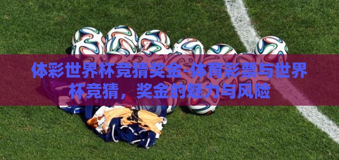 体彩世界杯竞猜奖金-体育彩票与世界杯竞猜，奖金的魅力与风险