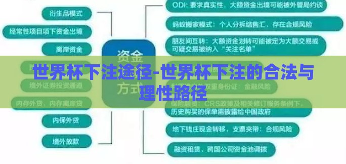 世界杯下注途径-世界杯下注的合法与理性路径