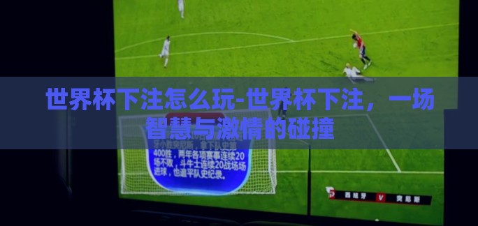 世界杯下注怎么玩-世界杯下注，一场智慧与激情的碰撞