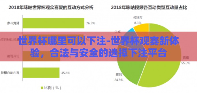 世界杯哪里可以下注-世界杯观赛新体验，合法与安全的选择下注平台