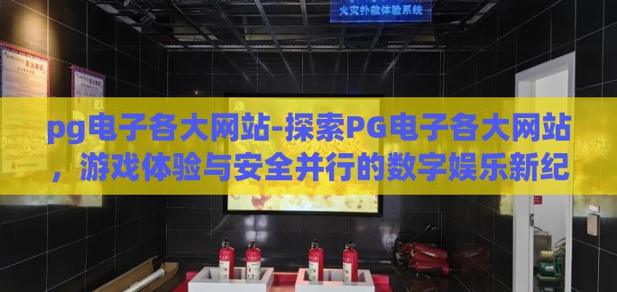 pg电子各大网站-探索PG电子各大网站，游戏体验与安全并行的数字娱乐新纪元