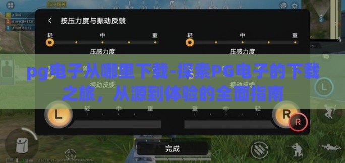 pg电子从哪里下载-探索PG电子的下载之旅,从源到体验的全面指南 pg电子从哪里下载-探索PG电子的下载之旅,从源到体验的全面指南