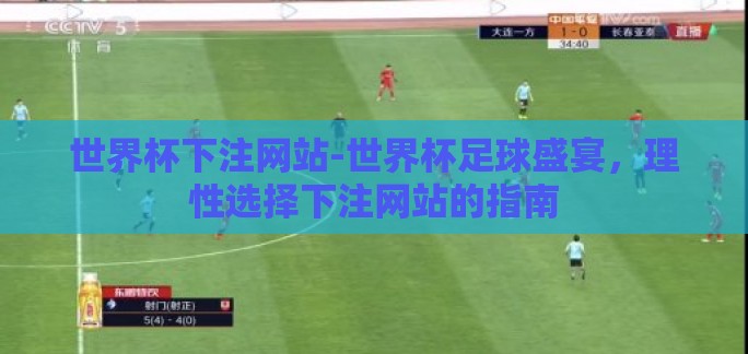 世界杯下注网站-世界杯足球盛宴，理性选择下注网站的指南