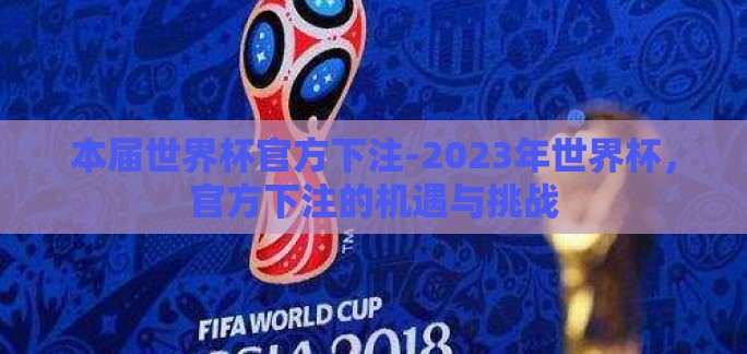 本届世界杯官方下注-2023年世界杯，官方下注的机遇与挑战