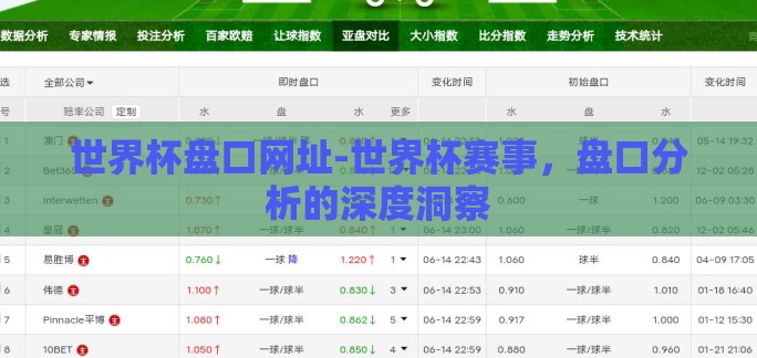 世界杯盘口网址-世界杯赛事，盘口分析的深度洞察