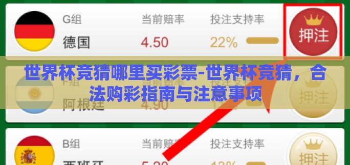 世界杯竞猜哪里买彩票-世界杯竞猜，合法购彩指南与注意事项