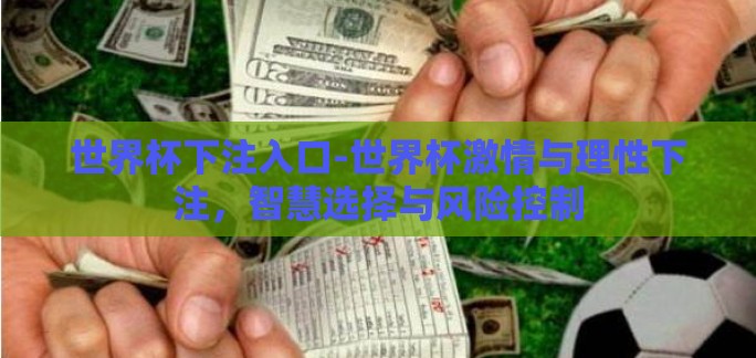 世界杯下注入口-世界杯激情与理性下注，智慧选择与风险控制
