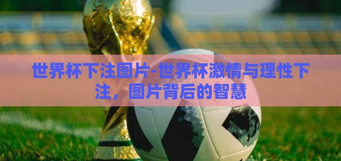 世界杯下注图片-世界杯激情与理性下注，图片背后的智慧