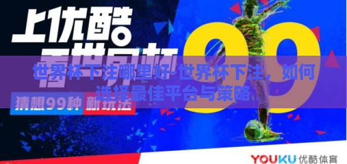 世界杯下注哪里好-世界杯下注，如何选择最佳平台与策略