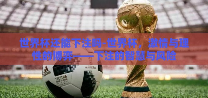 世界杯还能下注吗-世界杯，激情与理性的博弈——下注的智慧与风险