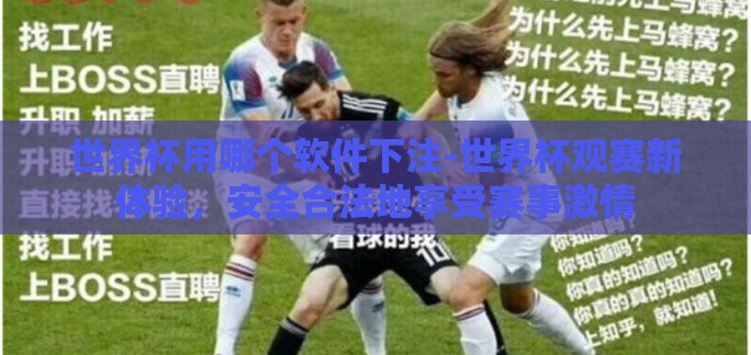世界杯用哪个软件下注-世界杯观赛新体验，安全合法地享受赛事激情