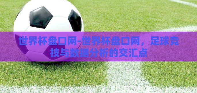 世界杯盘口网-世界杯盘口网，足球竞技与数据分析的交汇点