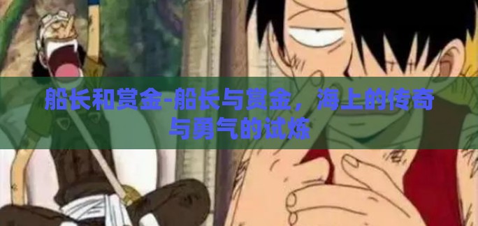 船长和赏金-船长与赏金，海上的传奇与勇气的试炼