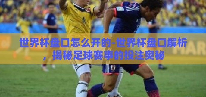 世界杯盘口怎么开的-世界杯盘口解析，揭秘足球赛事的投注奥秘