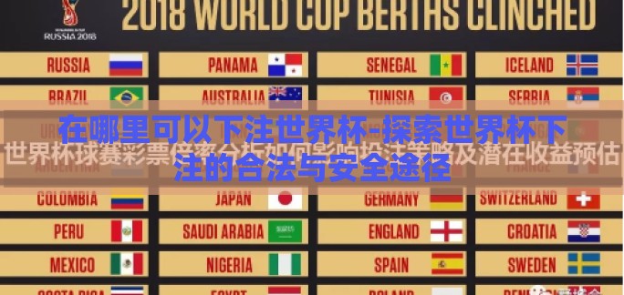 在哪里可以下注世界杯-探索世界杯下注的合法与安全途径