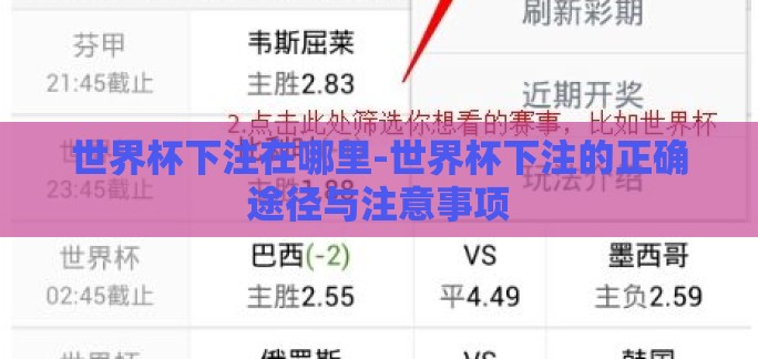 世界杯下注在哪里-世界杯下注的正确途径与注意事项