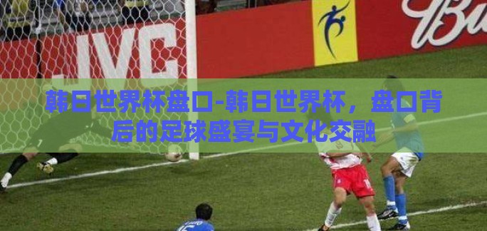 韩日世界杯盘口-韩日世界杯，盘口背后的足球盛宴与文化交融