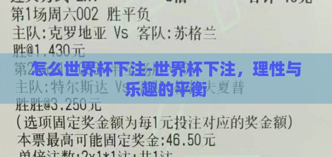 怎么世界杯下注-世界杯下注,理性与乐趣的平衡 怎么世界杯下注-世界杯下注,理性与乐趣的平衡